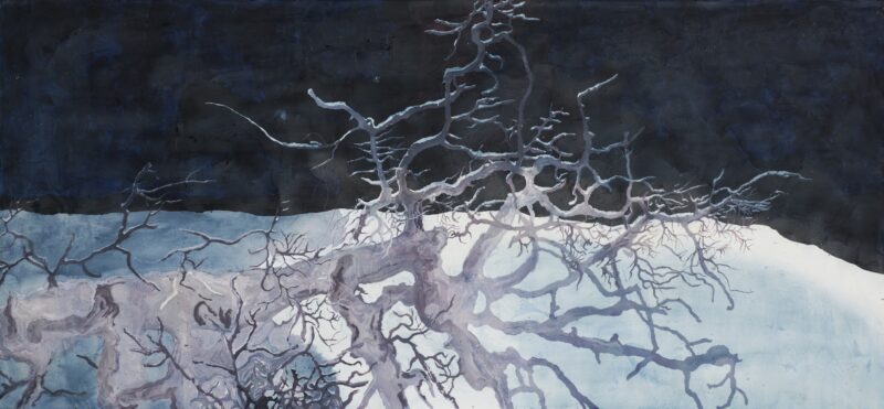 Arbol tumbado en Hittarpsrevet, 2014. Acrylic on canvas by Jorge Castillo.